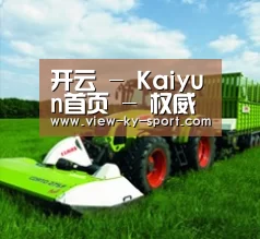关于开云