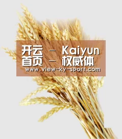 开云 - Kaiyun首页 - 权威体育门户网站